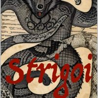 A book about the Romanian undead spirit Strigoi