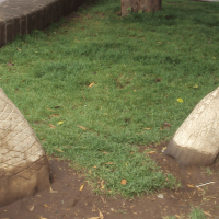 Mythlok - Cai Cai Vilu sculpture A sculpture of the Mapuche serpent Cai Cai Vilu