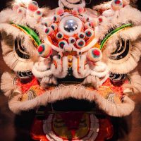 Mythlok - Dilong performance Performance costume of the Chinese Earth dragon Dilong