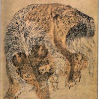 Traditional drawing of the Japanese hybrid Baku