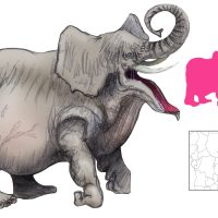 Comparative drawing of the Liqimsa