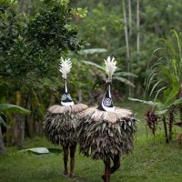 Performers of the Tolai ancestral spirit Tubuan